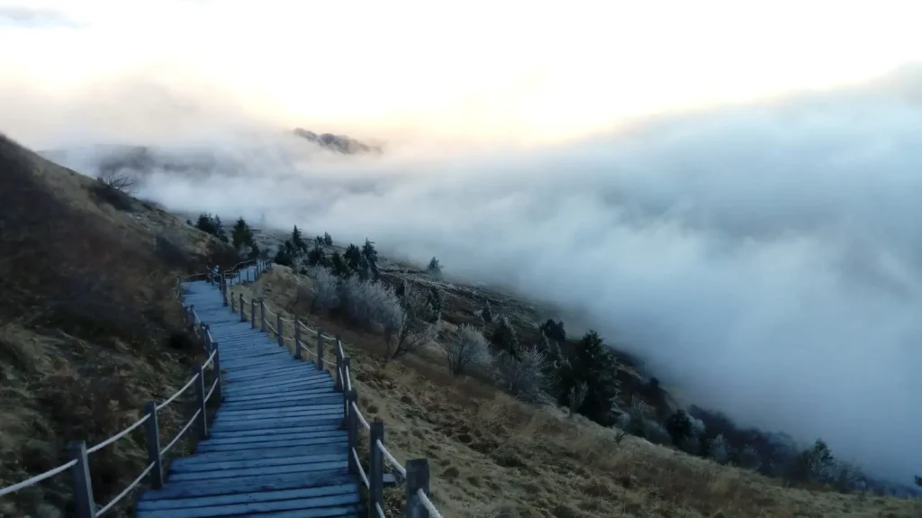 Chemin de descente du Puy de Dôme plus haut que les nuages à droite.