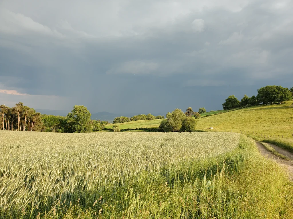 Une grosse averse d'été en approche sur des champs.